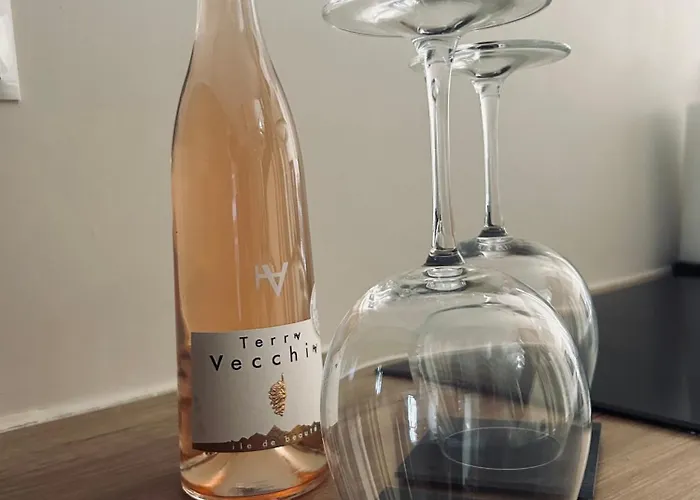 Au Centre Du Port De アパート ボニファシオ