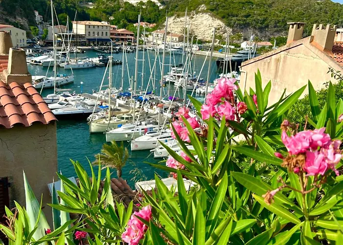 Apartment Au Centre Du Port De *